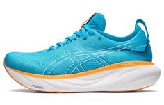 Кроссовки мужские Asics GEL-Nimbus 25