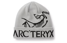 Мужская шапка Arcteryx, цвет gray-orca Arc'teryx