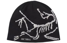 Шапка унисекс Arcteryx, цвет orca/black Arc'teryx