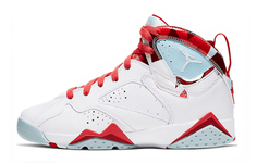 Женские баскетбольные кроссовки Jordan Air Jordan 7 Vintage