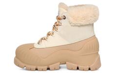 Женские зимние сапоги угги, цвет fossil white Ugg