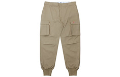 Мужские брюки-карго Dickies, песочный цвет