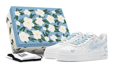 Женские кроссовки для скейтбординга Nike Air Force 1 Low, цвет sky blue