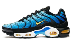 Мужские кроссовки для бега Nike Air Max Plus