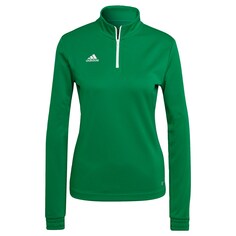 Рубашка для выступлений ADIDAS SPORTSWEAR Entrada 22, зеленый