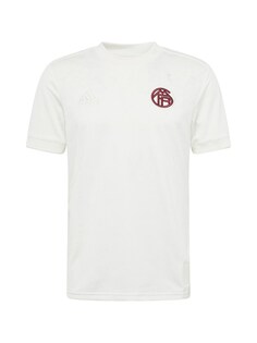 Рубашка для выступлений Adidas FC BAYERN MÜNCHEN 23/24, белый
