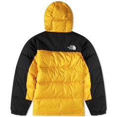 Гималайская пуховая парка The North Face