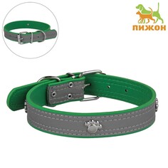 Ошейник Пижон