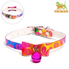 Ошейник Пижон