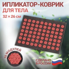 Ипликатор-коврик, основа текстиль, 70 модулей, 32 × 26 см, цвет темно-серый/красный Onlitop