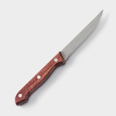 Нож для стейка доляна ecology, лезвие 11 см
