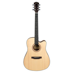 Акустические гитары Cascha CGA300 Performer Series
