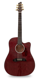 Акустические гитары NG DM411SC BR (чехол в комплекте)