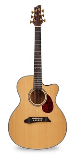 Акустические гитары NG GM411SC NA