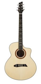 Акустические гитары NG GT500