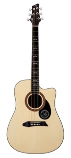 Электроакустические гитары NG GT600-E NA