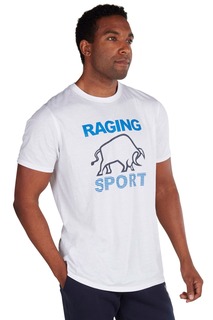 Серая универсальная футболка Raging Bull, белый