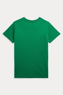 Зеленая рубашка-поло для мальчика с принтом Polo Ralph Lauren, зеленый
