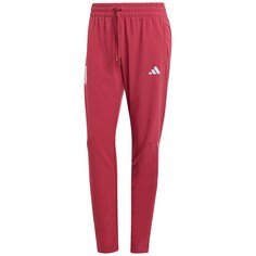 Зауженные тренировочные брюки Adidas Spanien WM 2023, красный