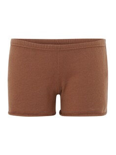 Обычные брюки HOLLISTER TERRY, коричневый