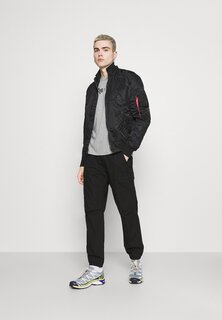 Футболка с принтом Alpha Industries, серый