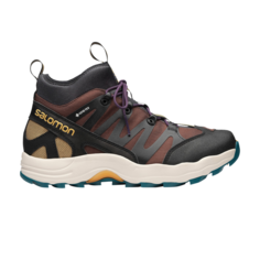 Кроссовки XA Pro 1 Mid GORE-TEX Salomon, коричневый