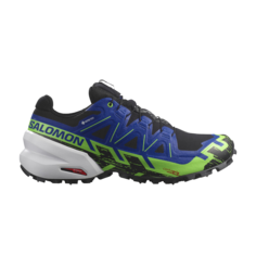 Кроссовки Spikecross 6 GORE-TEX Salomon, синий