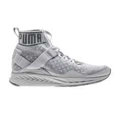 Кроссовки Ignite 3 Evoknit Mid Puma, серый