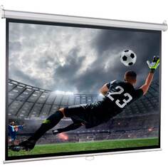 Экран для проекторов Lumien Eco Picture LEP-100119