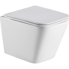 Унитаз подвесной безободковый WeltWasser Gelbach 004 MT-WT белый матовый (10000003696)