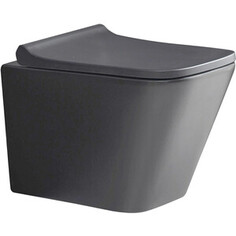 Унитаз подвесной безободковый WeltWasser Gelbach 041 MT-GR серый матовый (10000008263)