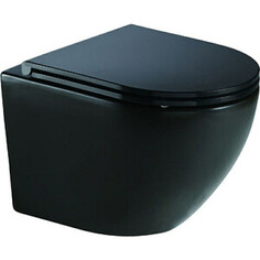 Унитаз подвесной безободковый WeltWasser Merzbach 041 MT-BL черный матовый (10000008255)