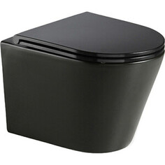 Унитаз подвесной безободковый WeltWasser Salzbach 041 MT-BL черный матовый (10000008258)