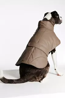 Запачканная куртка для собаки H&amp;M, коричневый H&M