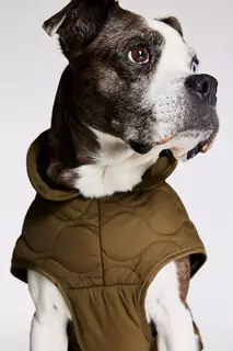 Стеганая куртка для собаки H&amp;M, зеленый H&M