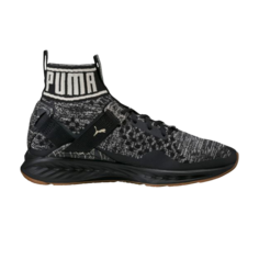 Кроссовки Ignite evoKnit Hypernature Puma, черный