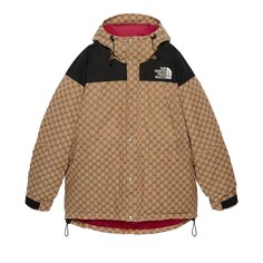 Пуховик Gucci x The North Face Бежевый/Эбеновый/Черный