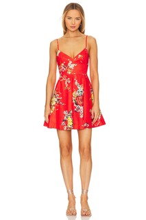 Платье мини Zimmermann Alight, цвет Red Floral