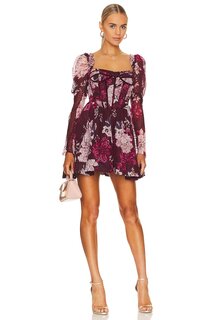 Платье мини Bardot Evermore Corset, цвет Burgundy Floral