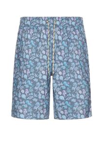 Шорты Rails Kian Swim Short, цвет Blue Miami Cove