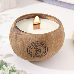 Свеча в кокосе ароматическая, мандарин и ваниль, соевый воск, 8х10 см, в коробке NO Brand