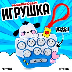 Развивающая игрушка NO Brand