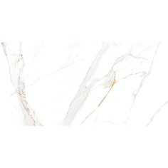 Керамогранит Absolut Gres Regal Carrara AB 1144G 120x60 см