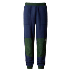 Мужские брюки Denali Pant The North Face