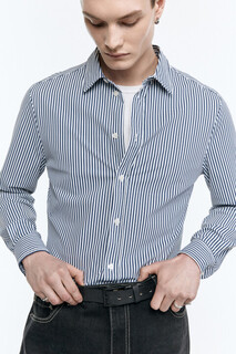 верхняя сорочка мужская Рубашка классическая с принтом в полоску Befree