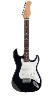 Электрогитары Homage HEG310BK