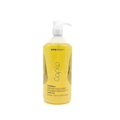 Шампунь для волос EVA PROFESSIONAL HAIR CARE Шампунь для жирных волос против перхоти и выпадения Capilo Vitalikum Shampoo N.05