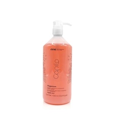 Шампунь для волос EVA PROFESSIONAL HAIR CARE Шампунь для жирной кожи головы против перхоти Capilo Oxygenum Shampoo N.07