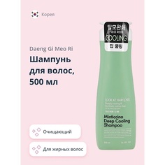 DAENG GI MEO RI Шампунь для волос LOOK AT HAIR LOSS (для жирной кожи головы) 500