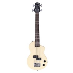 ST Bass VW Carry On